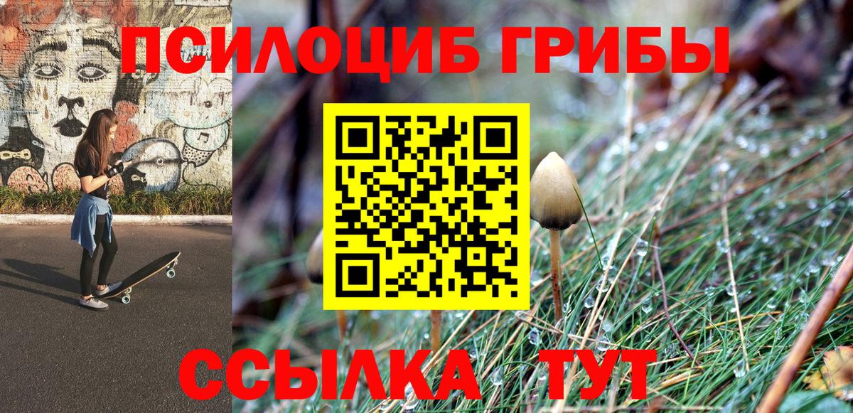 Тверь  Галлюциногенные грибы Magic Shrooms  Вход с VPN  Псилоцибиновые грибы Psilocybine cubensis 