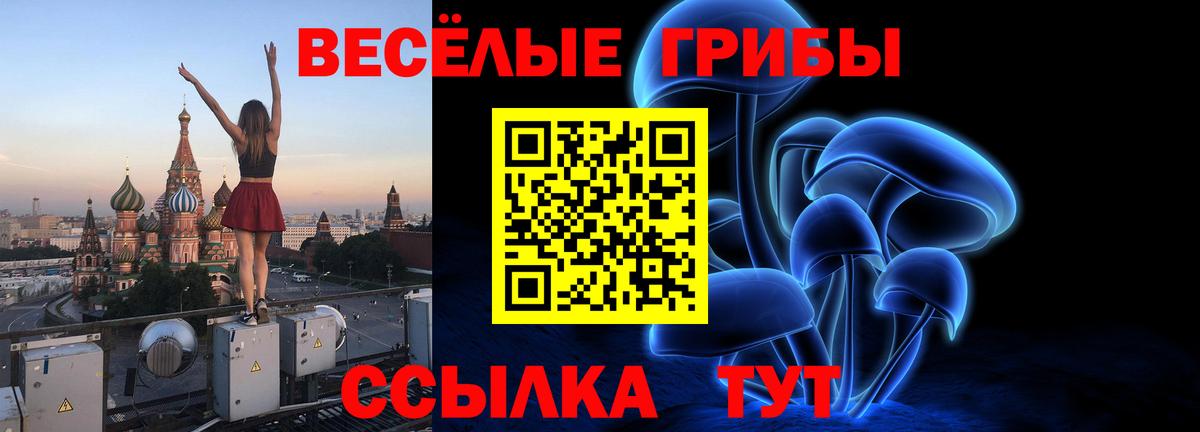 Псилоцибиновые грибы Magic Shrooms Тверь